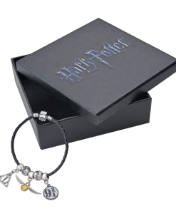 Warner Bros Harry Potter Charm Bracelet Set 11 Warner Bros Harry Potter Charm Bracelet Set