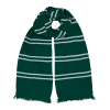 Warner Bros Authentic Slytherin Scarf