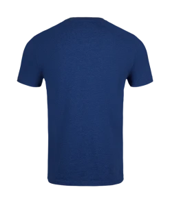 Warner Bros Best Sellers Ravenclaw Quidditch Team Captain T-Shirt