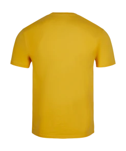 Warner Bros Best Sellers Hufflepuff Quidditch Team Captain T-Shirt