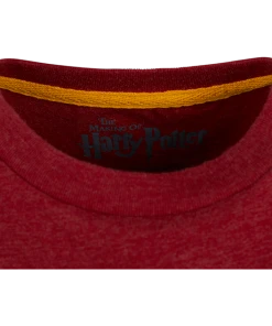 Warner Bros Best Sellers Kids Gryffindor Quidditch Team Captain T-Shirt