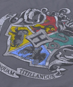Warner Bros Kids Hogwarts Silver Crest T-Shirt
