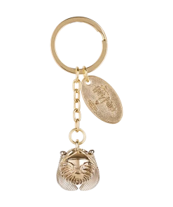 Warner Bros Best Sellers Golden Snitch Keyring
