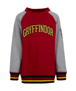 Warner Bros Kids Gryffindor Sweatshirt Best Sellers