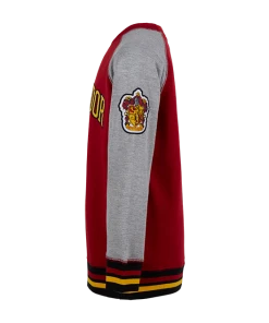 Warner Bros Kids Gryffindor Sweatshirt Best Sellers