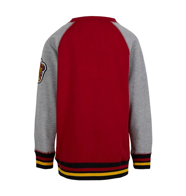 Warner Bros Kids Gryffindor Sweatshirt Best Sellers 5 Warner Bros Kids Gryffindor Sweatshirt Best Sellers