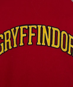 Warner Bros Kids Gryffindor Sweatshirt Best Sellers 10 Warner Bros Kids Gryffindor Sweatshirt Best Sellers