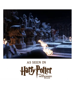 Warner Bros Wizard Chess Set Toys And Games 17 Warner Bros Wizard Chess Set Toys And Games