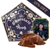 Pureprint Chocolate Frog With Personalised Wizard Card Best Sellers
