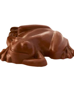 Pureprint Chocolate Frog With Personalised Wizard Card Best Sellers