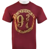 Warner Bros Distressed Platform 9 3/4 T-Shirt Best Sellers
