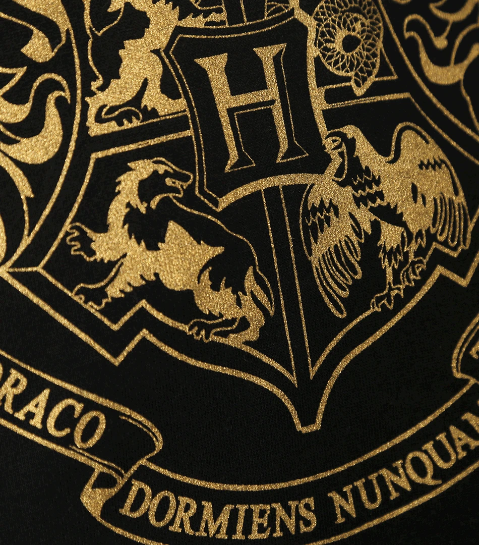 Warner Bros Hogwarts Gold Crest Hooded Jumper 7 Warner Bros Hogwarts Gold Crest Hooded Jumper