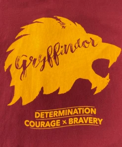 Warner Bros Best Sellers Gryffindor Unisex Pyjama Set