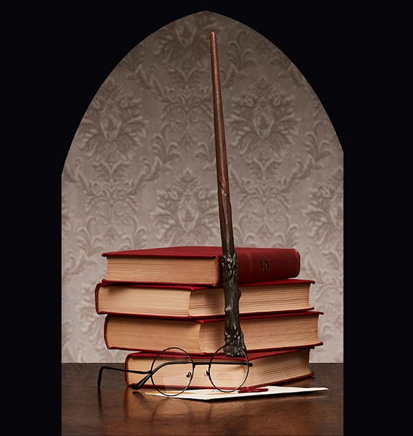 Warner Bros Harry Potter's Wooden Wand Best Sellers 5 Warner Bros Harry Potter's Wooden Wand Best Sellers