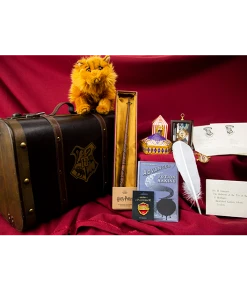 Warner Bros Hermione Granger Gift Trunk