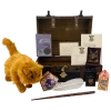 Warner Bros Hermione Granger Gift Trunk 1 Warner Bros Hermione Granger Gift Trunk