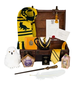 Warner Bros Hufflepuff Gift Trunk