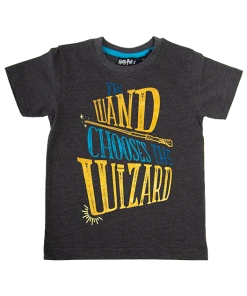 Warner Bros Kids Wand Chooses The Wizard T-Shirt