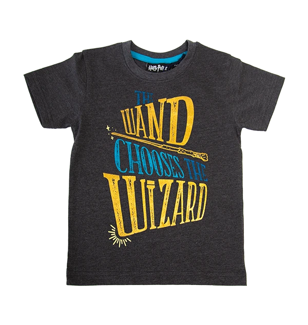 Warner Bros Kids Wand Chooses The Wizard T-Shirt 3 Warner Bros Kids Wand Chooses The Wizard T-Shirt