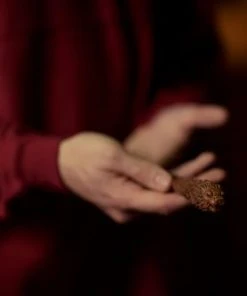 Warner Bros The Gryffindor Mascot Wand 11 Warner Bros The Gryffindor Mascot Wand