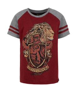 Warner Bros Gryffindor Kids T-Shirt