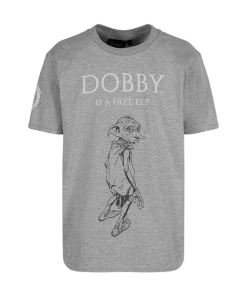 Warner Bros Best Sellers Dobby T-Shirt - Kids