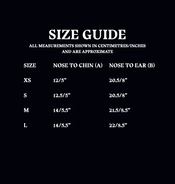 Warner Bros Ravenclaw Face Covering 7 Warner Bros Ravenclaw Face Covering