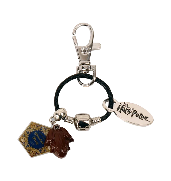 Warner Bros Chocolate Frog Gift Box Soft Toys 6 Warner Bros Chocolate Frog Gift Box Soft Toys