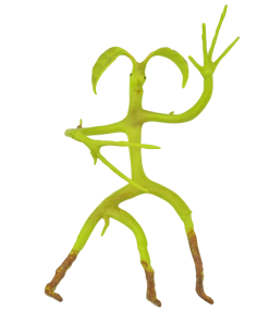 Warner Bros Poseable Pickett Best Sellers