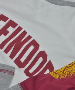 Warner Bros Gryffindor Ladies Raglan Shirt 8 Warner Bros Gryffindor Ladies Raglan Shirt