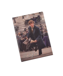 Warner Bros Newt Scamander Photo Magnet