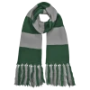 Warner Bros Best Sellers Slytherin Broad Stripe Scarf
