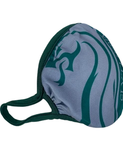 Warner Bros Best Sellers Slytherin Face Covering