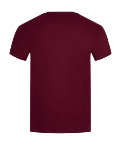 Warner Bros The Marauder's Map Burgundy T-Shirt